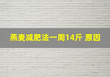 燕麦减肥法一周14斤 原因